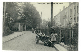 Watermael-Boitsfort Watermael  Bruxelles   Avenue Van Becelaere   Jeune Laitière Jonge Melkvrouw Attelage Chien - Watermael-Boitsfort - Watermaal-Bosvoorde