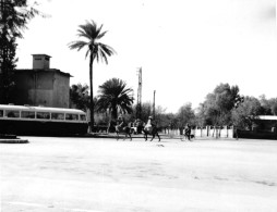 Marrakesh Morocco Street View Vintage Bus Bike Men Ride On Donkeys 1950-60s Small Vintage Photo 9 X 9 Cm - Africa