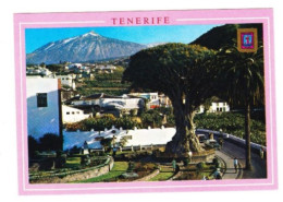 CPM Iles Canaries Tenerife ICOD De Los Vinos Drago Millénaire  Neuve - Tenerife