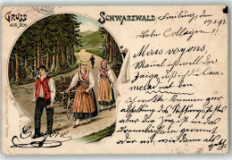 13937708 - Gruss Aus Dem Schwarzwald  Reisig Sammler AK - Altri & Non Classificati