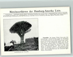 13115508 - Hamburg-Amerika-Linie Mittelmeerf - Other & Unclassified