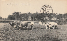 LANDES - 40 - PAYSANS Au LABOUR - Sonstige & Ohne Zuordnung