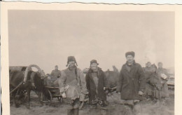 Foto - Auf Dem Marsch Von Nowgorod Ssewersk Nach Sseredina Buda - Pferdegespanne Und Einheimische - 1943 - 8*5cm (69387) - Guerra, Militari