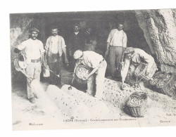 LUCHE (Sarthe) Champignonnière Des Charbonnais - Mouillage Ceuille - Sonstige & Ohne Zuordnung