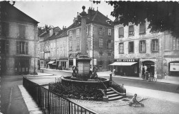 Salins Les Bains Fontaine Des Cygnes - Autres & Non Classés