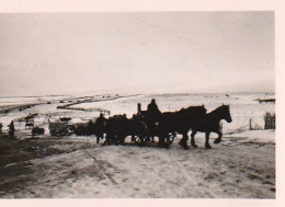 Foto Auf Dem Marsch - Deutsche Pferdegespanne Und LKW - Kolonne - Russland 1943 - 8*5cm (69389) - War, Military