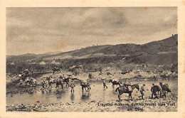 Ukraine - STRYJ - A Column Of Pack Animals Crosses A Ford - Ucraina