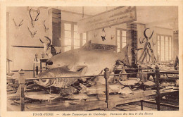 Cambodge - PHNOM PENH - Musée Économique - Poissons Des Lacs Et Des Fleuves - Ed. Nadal 68 - Cambodge