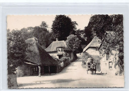 England - Dev - COCKINGTON NR. Torquay - Sonstige & Ohne Zuordnung