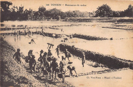 Viet-Nam - TONKIN - Ramasseurs De Crabes - Ed. Van-Xuan 160 - Vietnam