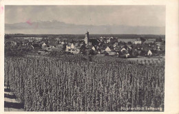 Tettnang (BW) Hopfenstadt Tettnang Totalansicht - Tettnang