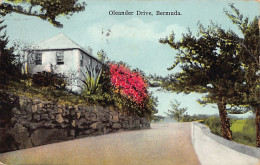 Bermuda - Oleander Drive - Publ. Yankee Store & Phoenix Drug Store 84 - Bermuda