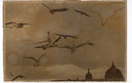 Snapshot Superbe Mouette Oiseau En Vol Sepia Taches Developpement Pluie Poetique Ciel - Personnes Anonymes