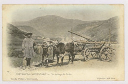 AUVERGNE : Environs Du Mont-Dore : Attelage De Bovins, 1902 (z3734) - Le Mont Dore