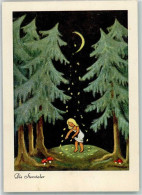 39799308 - Die Sterntaler Fliegenpilze - Fairy Tales, Popular Stories & Legends