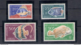 1968 Comores - Yvert N. 147/48 + PA 23/24 - Pesci - MNH** - Other & Unclassified