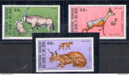 1973 Territoire Francais Afars Et Issas, Yvert Aerea 80/82 - Animali - MNH** - Sonstige & Ohne Zuordnung