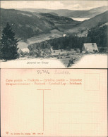 Ansichtskarte Titisee Bärental 1905 - Other & Unclassified