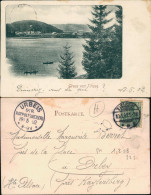 Ansichtskarte Titisee Totale 1902  Gel. Nach Urbeis Rappoltsweiler - Sonstige & Ohne Zuordnung