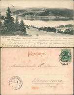 Ansichtskarte Titisee Totale 1904 - Other & Unclassified