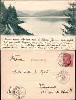 Ansichtskarte Titisee Blick über Den Titisee 1901 - Other & Unclassified