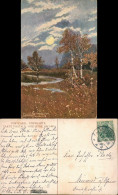 Ansichtskarte  Stimmungsbilder: Natur Birkenwald Bei Mondschein 1908 - Ohne Zuordnung