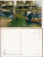 Postkaart Marken-Waterland Insel Marken Heuernte Haus - Holland 1916 - Marken