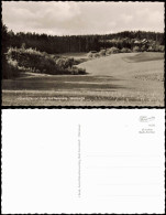 Backnang Umland-Ansichn Höhenluftkurort Grab Krs. Backnang Waldpartie 1950 - Backnang