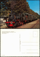 Historischer Dampfzug Achern - Ottenhöfen Mit Lokomotive Nr. 28 1970 - Trains