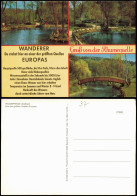 Rhumspringe Rhumspringe Südharz, Eine Der Größten Quellen Europas 1996 - Sonstige & Ohne Zuordnung