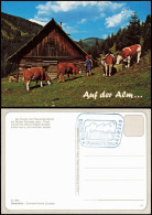 Ansichtskarte .Österreich Auf Der Alm... Allgemein Österreich 1980 - Other & Unclassified