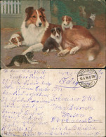 Ansichtskarte Hund Hunde Mit Katzen Künstlerkarte 1918  Feldpost Gelaufen - Chats