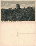 Ansichtskarte Borgholzhausen Burg Ravensberg Im Teutoburger Wald 1942 - Altri & Non Classificati