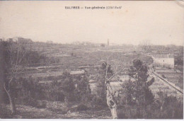 07 - ARDECHE - LES SALYMES - VUE GENERALE  COTE SUD - Autres & Non Classés