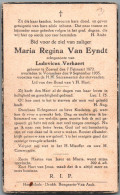 Bidprentje Zoersel - Van Eyndt Maria Regina (1872-1935) - Devotieprenten