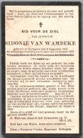 Bidprentje Zottegem - Van Wambeke Sidonie (1873-1931) Plooien - Devotieprenten