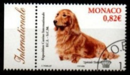 MONACO   -   2005 .  Y&T N° 2481 Oblitéré.  Chien,  Teckel - Used Stamps