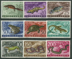 Jugoslawien 1962 Tiere Amphibien Reptilien 1007/15 Postfrisch - Unused Stamps