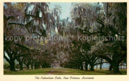 72780080 New_Orleans_Louisiana Pakeham Oaks - Sonstige & Ohne Zuordnung