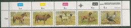 Südafrika 1991 Tierzucht Haustiere Hund Taube 813/17 ZD OR Postfrisch (C40286) - Unused Stamps