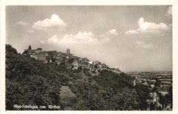 Neu-Leiningen Von Westen - Sonstige & Ohne Zuordnung