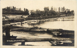 Speyer Am Rhein - Schiffsbrücke Mit Eisenbahn - Speyer