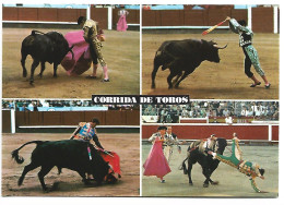 MEDIA VERONICA / BANDERILLAS / PASE NATURAL / COGIDA.- CORRIDA DE TOROS.- ESPAÑA - Taureaux