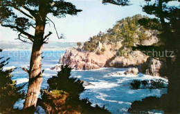 72767451 Carmel_California Point Lobos Steilk?ste - Altri & Non Classificati