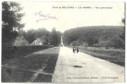 Forêt De BELLEME - LA HERSE - Vue Panoramique - Autres & Non Classés