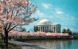 72767013 Washington DC Jefferson Memorial At Cherry Blossom Time  - Washington DC