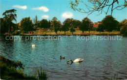 72766902 Petersfield Lake Schwaene  - Andere & Zonder Classificatie