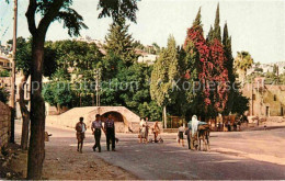 72765403 Nazareth Israel Mary Well  Nazareth Illit - Israel