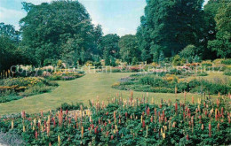 72762795 Diss Bressingham Hall Gardens  - Andere & Zonder Classificatie