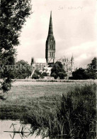 72754834 Salisbury Wiltshire Cathedral From The River Salisbury - Autres & Non Classés